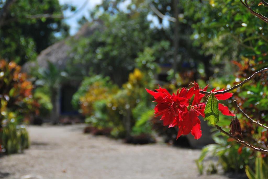 Villas Ecotucan Bacalar Exterior foto